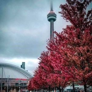 Meet your Posher, Reema